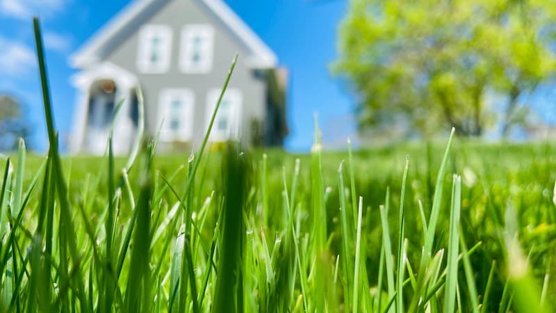 estate management - landscaping