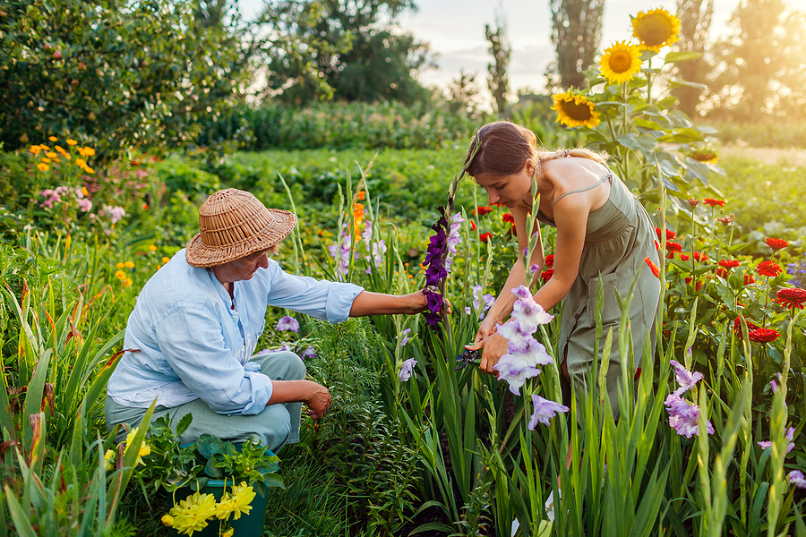 Flower-Farmers-Pick-Fresh-gardening services